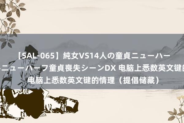 【SAL-065】純女VS14人の童貞ニューハーフ 二度と見れないニューハーフ童貞喪失シーンDX 电脑上悉数英文键的情理（提倡储藏）