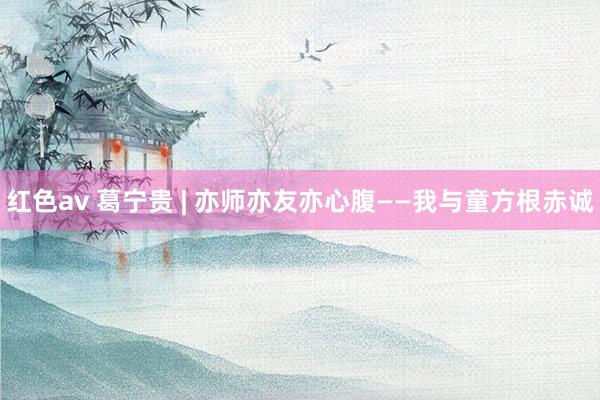 红色av 葛宁贵 | 亦师亦友亦心腹——我与童方根赤诚