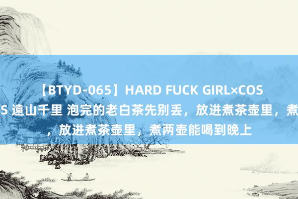 【BTYD-065】HARD FUCK GIRL×COSPLAY PRINCESS 遠山千里 泡完的老白茶先别丢，放进煮茶壶里，煮两壶能喝到晚上