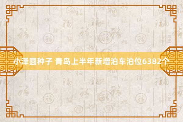 小泽圆种子 青岛上半年新增泊车泊位6382个