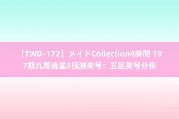 【TWD-172】メイドCollection4時間 197期九哥逍遥8预测奖号：五区奖号分析