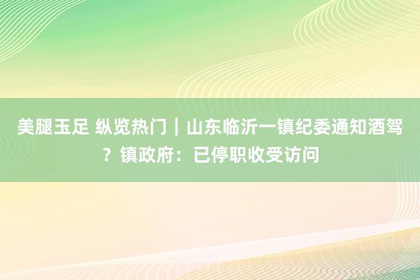 美腿玉足 纵览热门｜山东临沂一镇纪委通知酒驾？镇政府：已停职收受访问