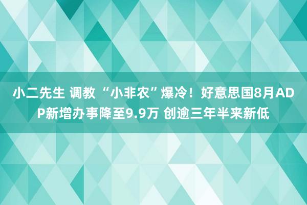 小二先生 调教 “小非农”爆冷！好意思国8月ADP新增办事降至9.9万 创逾三年半来新低