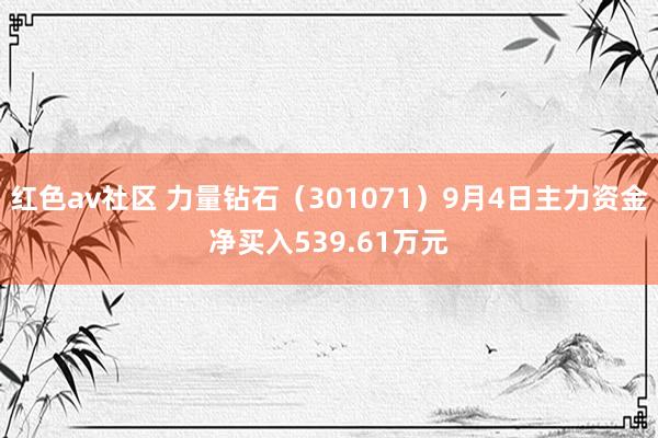 红色av社区 力量钻石（301071）9月4日主力资金净买入539.61万元