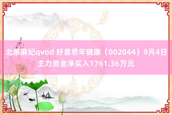 北条麻妃qvod 好意思年健康（002044）9月4日主力资金净买入1761.36万元