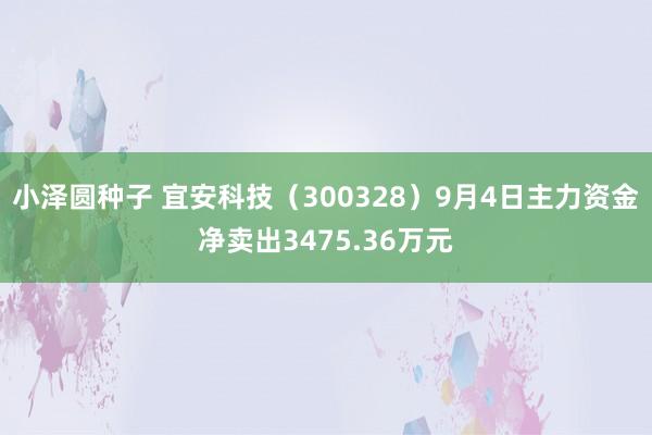 小泽圆种子 宜安科技（300328）9月4日主力资金净卖出3475.36万元