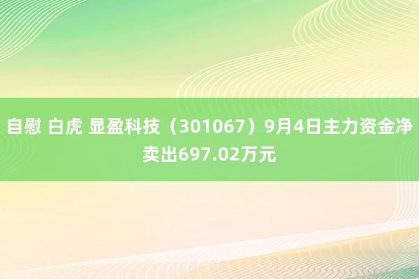 自慰 白虎 显盈科技（301067）9月4日主力资金净卖出697.02万元