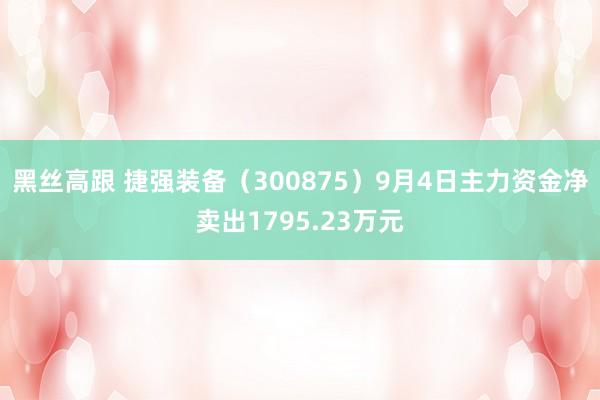 黑丝高跟 捷强装备（300875）9月4日主力资金净卖出1795.23万元