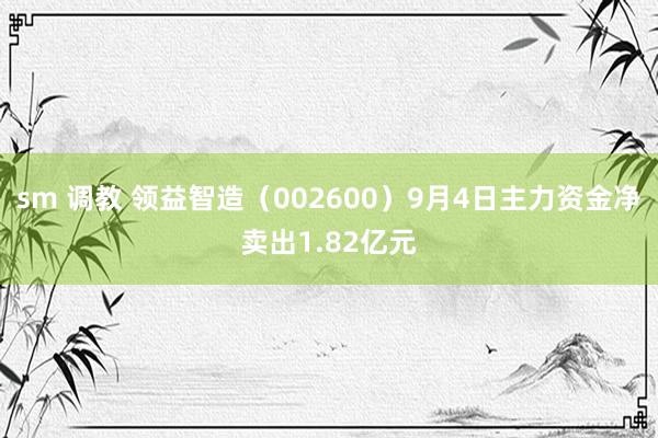 sm 调教 领益智造（002600）9月4日主力资金净卖出1.82亿元