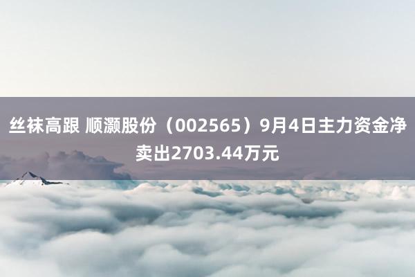 丝袜高跟 顺灏股份（002565）9月4日主力资金净卖出2703.44万元