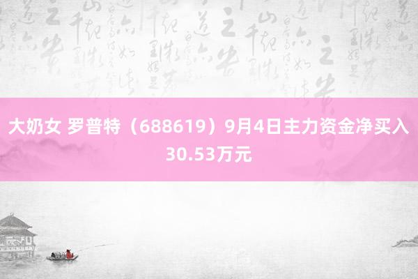 大奶女 罗普特（688619）9月4日主力资金净买入30.53万元