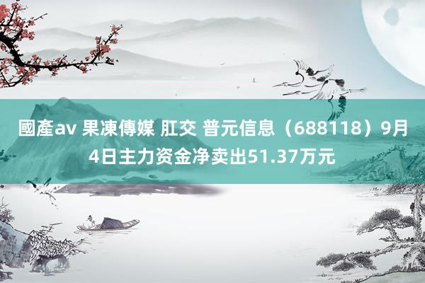 國產av 果凍傳媒 肛交 普元信息（688118）9月4日主力资金净卖出51.37万元