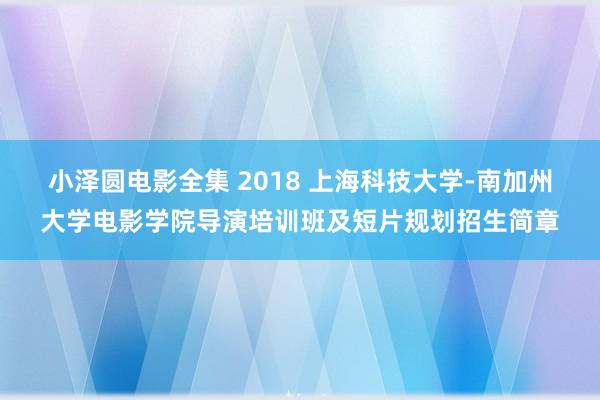 小泽圆电影全集 2018 上海科技大学-南加州大学电影学院导演培训班及短片规划招生简章