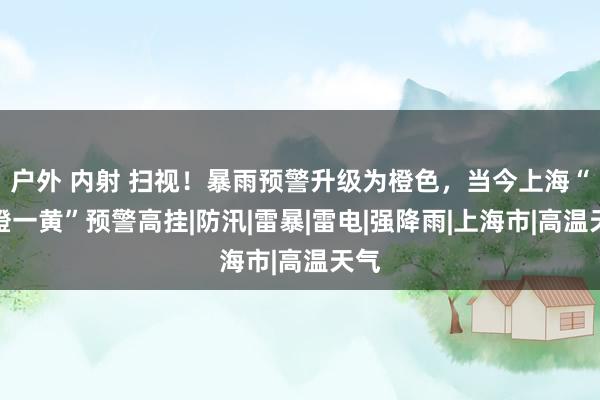 户外 内射 扫视！暴雨预警升级为橙色，当今上海“一橙一黄”预警高挂|防汛|雷暴|雷电|强降雨|上海市|高温天气