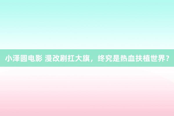 小泽圆电影 漫改剧扛大旗，终究是热血扶植世界？