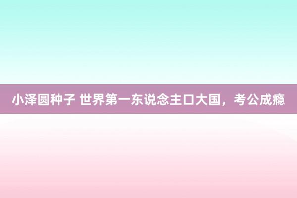 小泽圆种子 世界第一东说念主口大国，考公成瘾